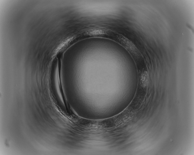 X0000097490732200802291431