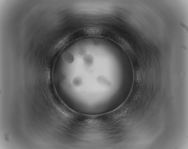 X0000097490733200802291431