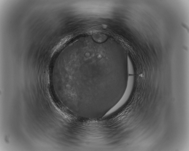 X0000097490734200802291431