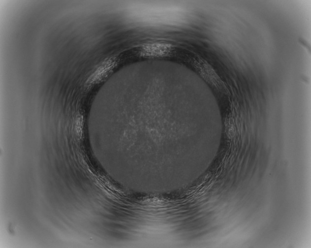 X0000097490735200802291431