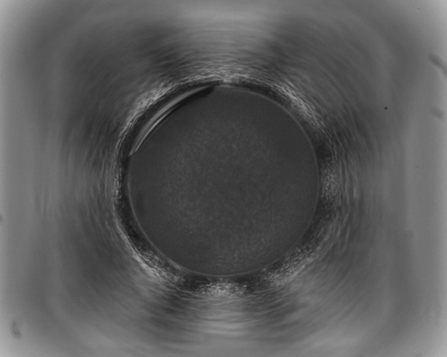 X0000097490736200802291431