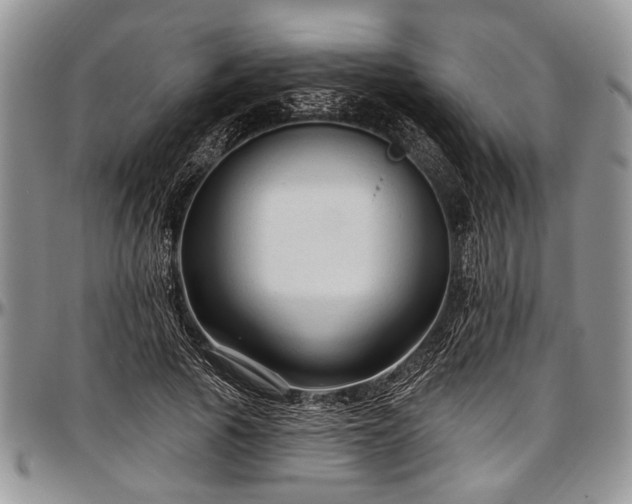 X0000097490737200802291431