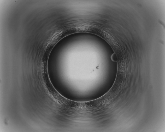 X0000097490738200802291431