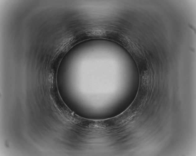 X0000097490739200802291431