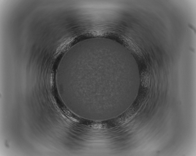 X0000097490740200802291432