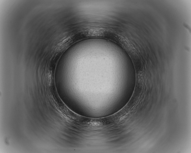 X0000097490741200802291432