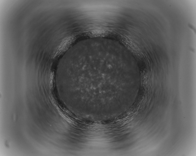 X0000097490742200802291432