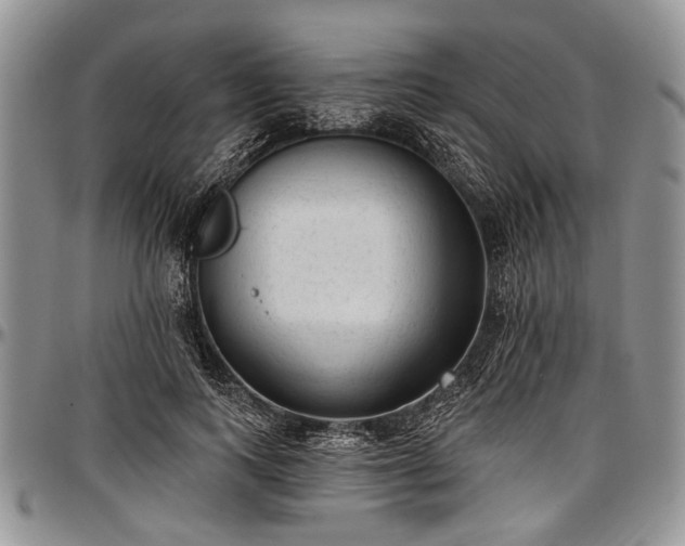 X0000097490743200802291432