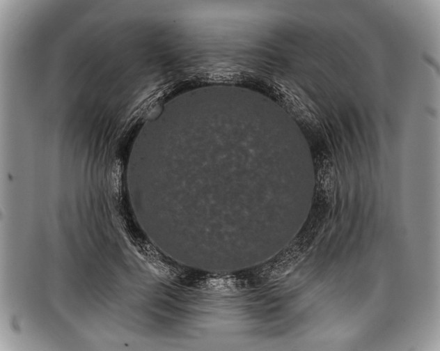 X0000097490744200802291432