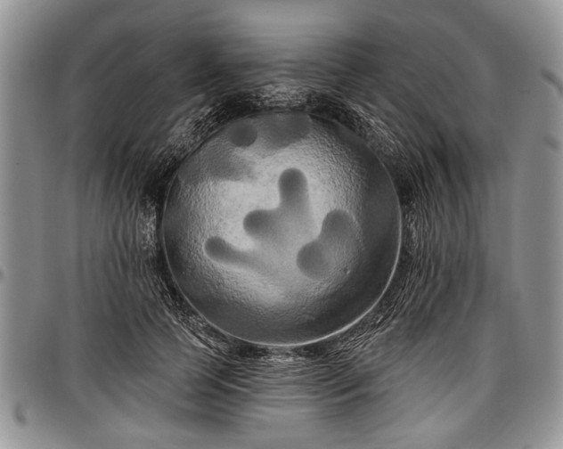 X0000097490745200802291432