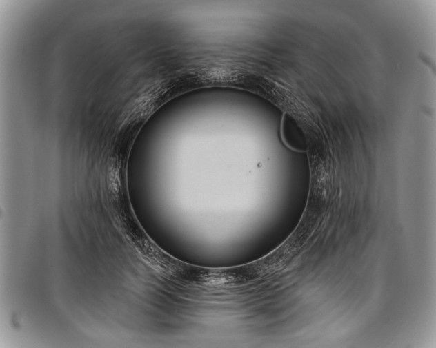 X0000097490746200802291432