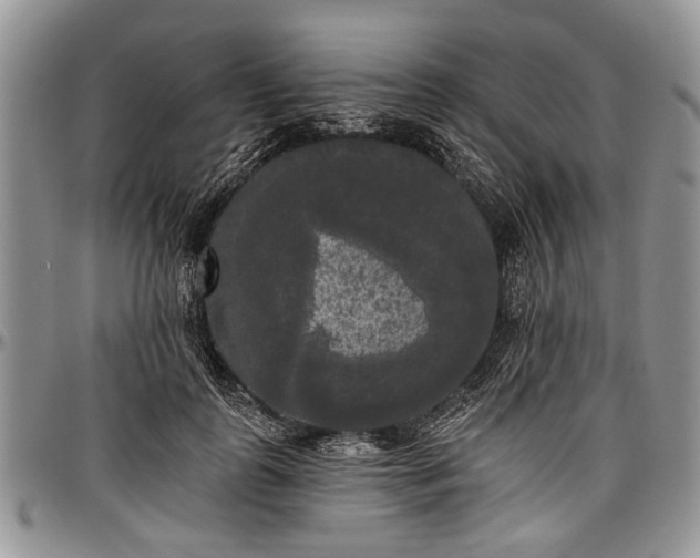 X0000097490747200802291432