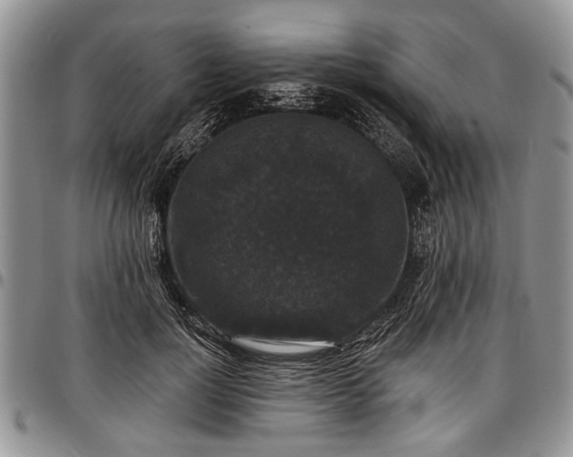 X0000097490748200802291432