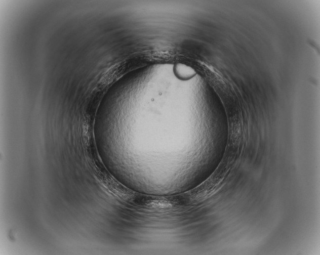 X0000097490749200802291432