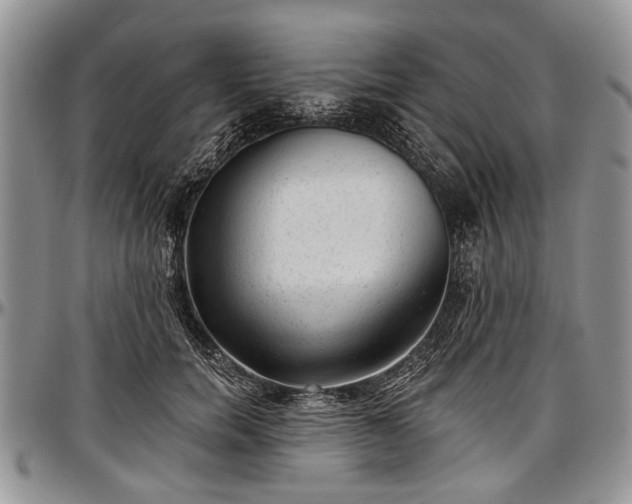 X0000097490750200802291432