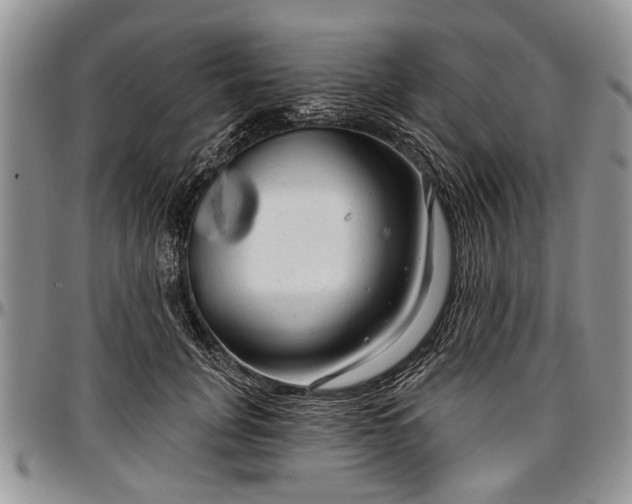 X0000097490751200802291432