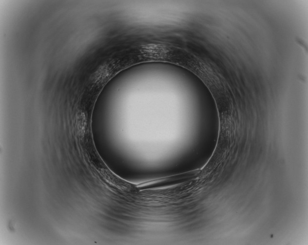 X0000097490752200802291432