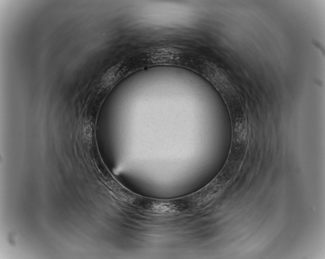 X0000097490753200802291432