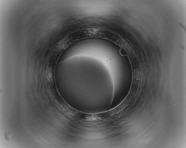 X0000097490754200802291432