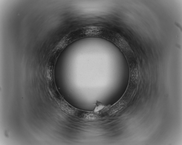 X0000097490755200802291432