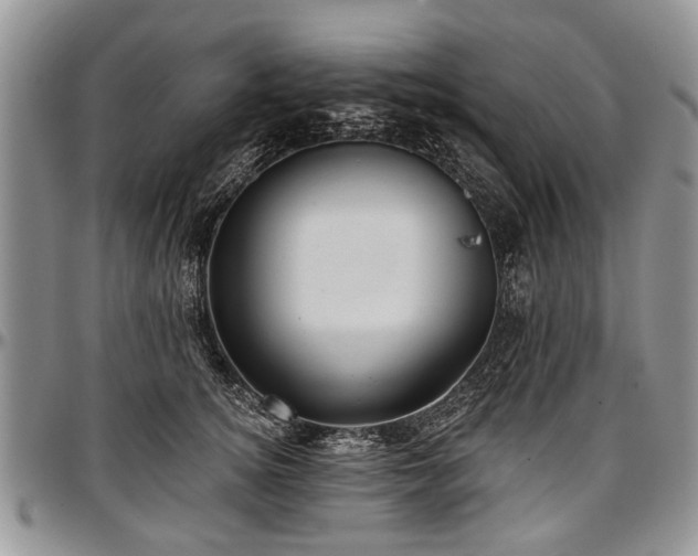 X0000097490756200802291432