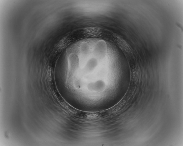 X0000097490757200802291432