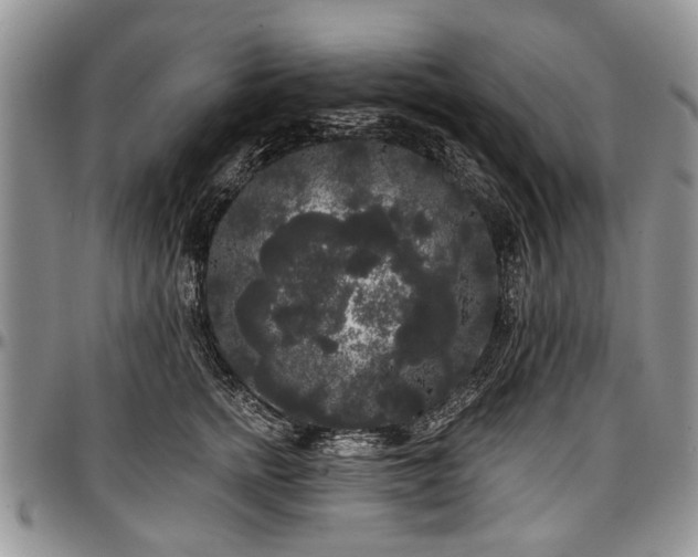 X0000097490758200802291432