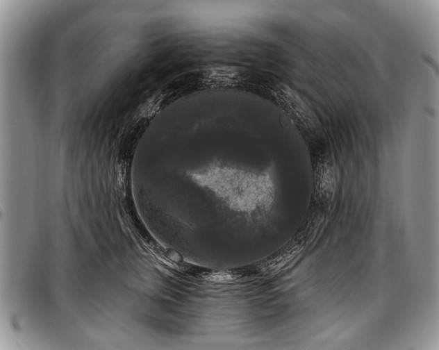 X0000097490759200802291432