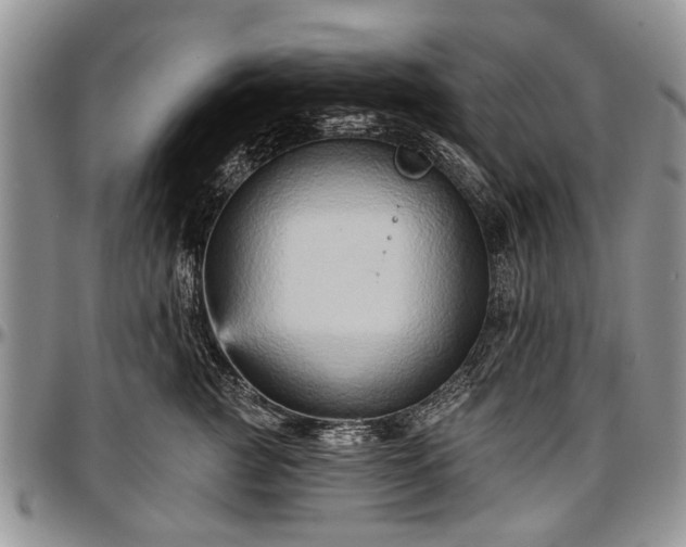 X0000097490761200802291432