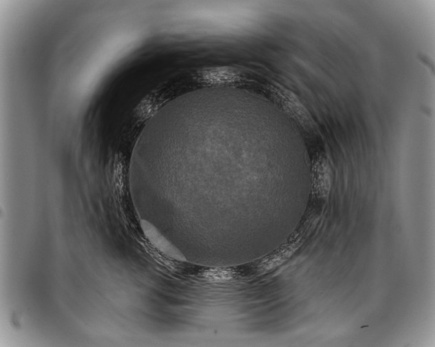 X0000097490762200802291432