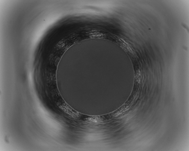 X0000097490763200802291432