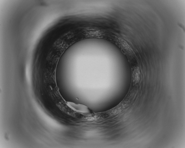 X0000097490764200802291432