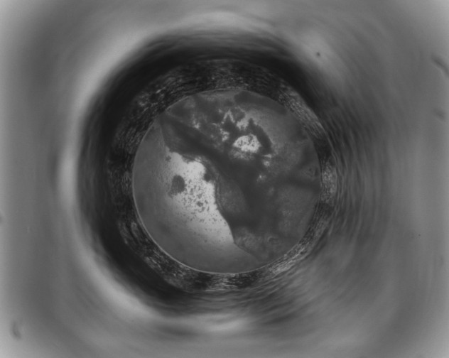 X0000097490765200802291432