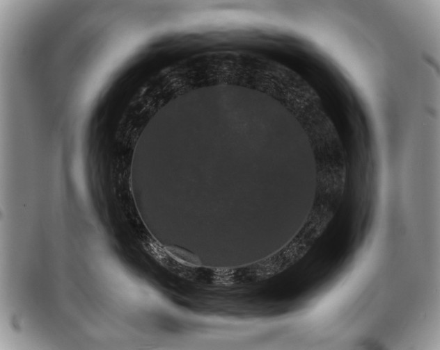 X0000097490766200802291432