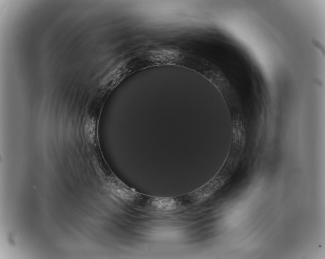 X0000097490767200802291432