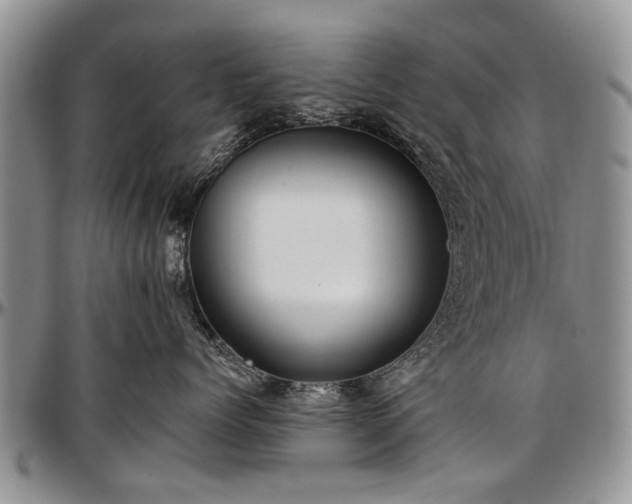 X0000097490768200802291432