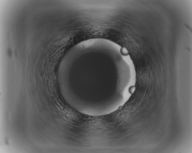 X0000097490769200802291431