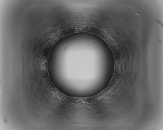 X0000097490770200802291431