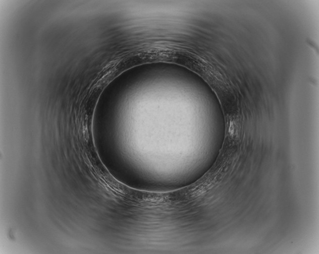 X0000097490771200802291431