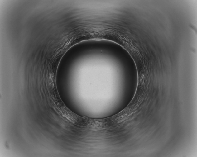 X0000097490772200802291431