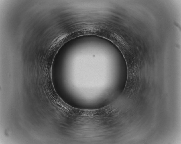 X0000097490773200802291431