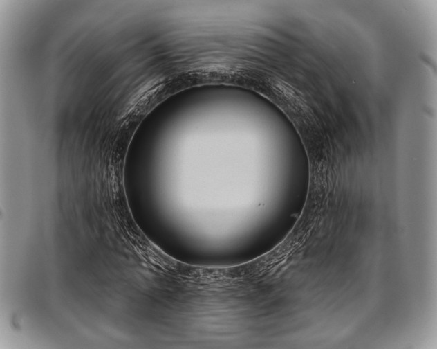 X0000097490774200802291431