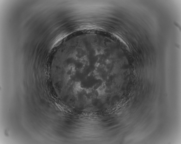 X0000097490775200802291431