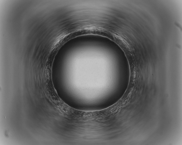 X0000097490776200802291431