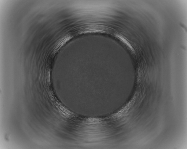 X0000097490777200802291431