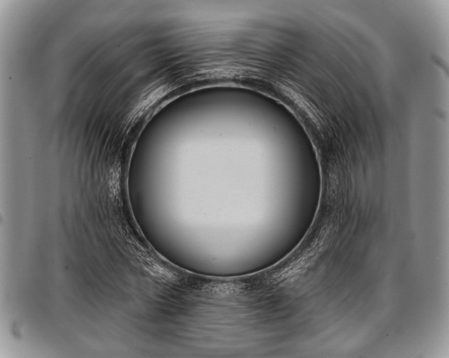 X0000097490778200802291431