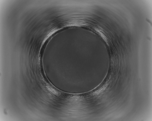 X0000097490779200802291431