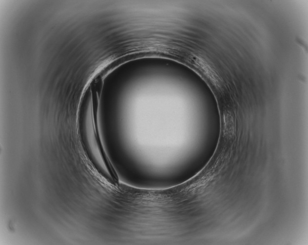 X0000097490780200802291431