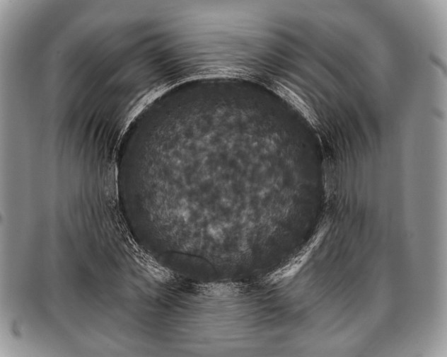 X0000097490781200802291431