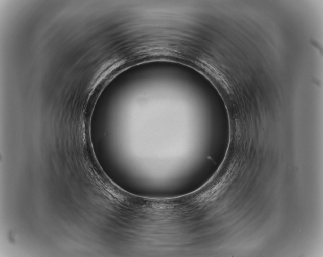 X0000097490782200802291431